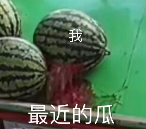 吃瓜百科在线,揭秘娱乐圈幕后真相与趣味故事