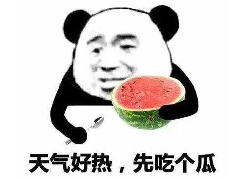 吃瓜表情包怎么回复别人,幽默回应，轻松化解尴尬