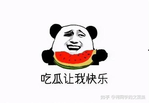 娱乐吃瓜酱不开心,揭秘背后原因